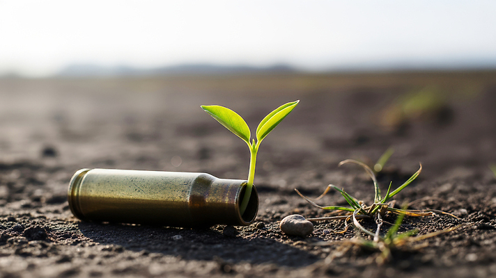 JPG 식물 편집이미지 잎 자연 생명 평화 환경 희망 성장 변화 땅 생태계 전쟁 재생 탄피 편집실사 AI포토 AI콘텐츠 감정 컨셉 CG 총알 파일형식