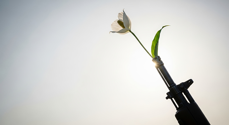 JPG 편집이미지 꽃 예술 상징 자연 생명 아이디어 평화 희망 총 메시지 변화 전쟁 이미지 반전 총구 편집실사 AI포토 AI콘텐츠 식물 감정 무기 컨셉 CG 생태계 파일형식