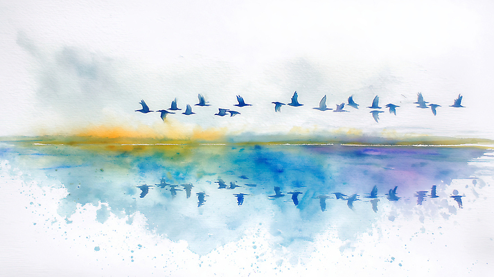 JPG 모양 예술 컬러 여행 일러스트 자연 조류 하늘 생명 바람 날씨 수채화 풍경 물 세계 반사 평화 자유 비행 물가 그림 조화 풍경화 국내일러스트 AI일러스트 AI콘텐츠 자연요소 동물 컨셉 생태계 파일형식