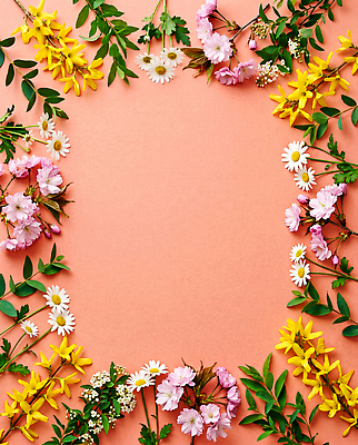 JPG 식물 편집이미지 꽃 예술 분홍색 컬러 백그라운드 잎 자연 프레임 장식 봄 꽃꽂이 조화 꽃프레임 구성 생화 편집실사 AI포토 AI콘텐츠 계절 CG 생태계 원예 파일형식