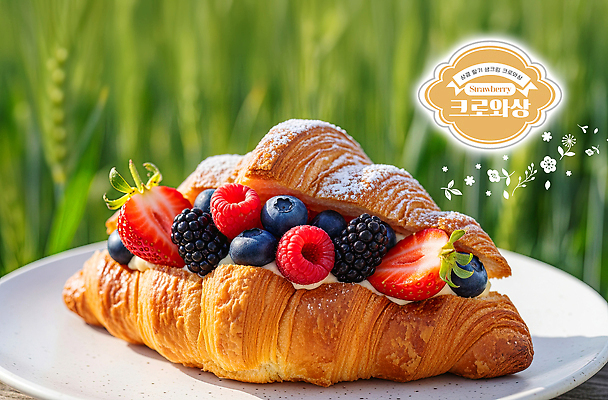 PSD 편집이미지 컬러 과일 자연 딸기 아침 디저트 초원 여름 맛 크루아상 블루베리 블랙베리 이미지편집 주간 계절 음식 빵 컨셉 생태계 파일형식