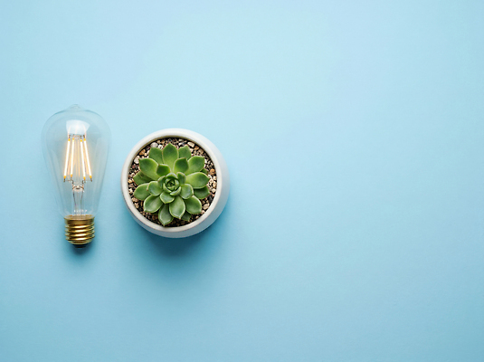 JPG 식물 편집이미지 디자인 전구 자연 탁자 조명 주택 아이디어 장식 초록색 인테리어 공간 배열 오브젝트 파란배경 다육식물 편집실사 AI포토 AI콘텐츠 컬러 가구 백그라운드 컨셉 건물 파란색 CG 생태계 파일형식