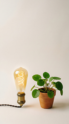 JPG 식물 편집이미지 디자인 화분 전구 자연 조명 아이디어 실내 생활 장식 인테리어 주방 램프 장면 조화 편집실사 AI포토 AI콘텐츠 컨셉 내부 CG 생태계 파일형식