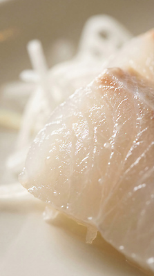 JPG 편집이미지 전통 접시 음식 재료 한국 요리 일본 식사 생선회 회 신선 해산물 무채 광어회 편집실사 AI포토 AI콘텐츠 식기 아시아 CG 파일형식