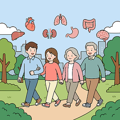 공원 노년 행복 길 중년 일러스트 가족 모션 자연 건강 여러명 일상 운동 산책 심장 도시 신장 허파 친목 보건의날 국내일러스트 AI파일 공공시설 감정 다수 관계 휴식 사람 성인 라이프 장기_의학 비뇨기관 호흡기관 생태계 파일형식 벡터 법정기념일
