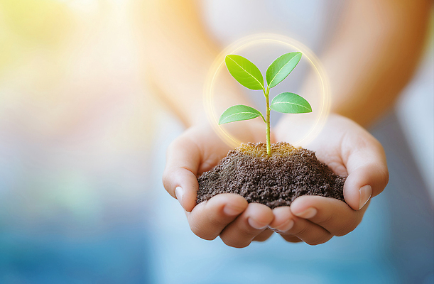 JPG 나무 식물 편집이미지 손 지구 농업 자연 생명 날씨 새싹 자연보호 환경 농사 흙 성장 보호 식수 의료성형뷰티 이미지편집 AI인물포토 AI콘텐츠 산업 컨셉 신체부위 물 생태계 파일형식 AI포토