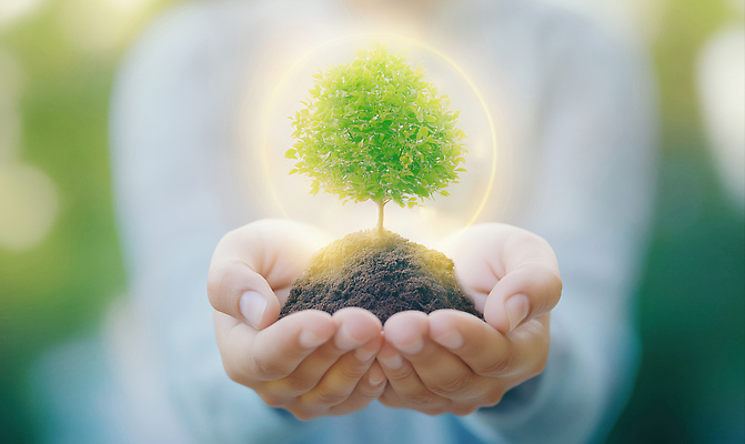 JPG 나무 식물 편집이미지 손 지구 자연 날씨 사랑 씨앗 자연보호 환경 흙 에너지 성장 보호 생태계 자원 의료성형뷰티 이미지편집 AI인물포토 AI콘텐츠 감정 컨셉 신체부위 파일형식 AI포토