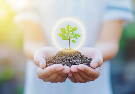 JPG 나무 식물 편집이미지 손 지구 자연 생명 햇빛 자연보호 환경 희망 흙 성장 변화 보호 포근함 시작 의료성형뷰티 이미지편집 AI인물포토 AI콘텐츠 감정 컨셉 신체부위 태양 감각 생태계 파일형식 AI포토