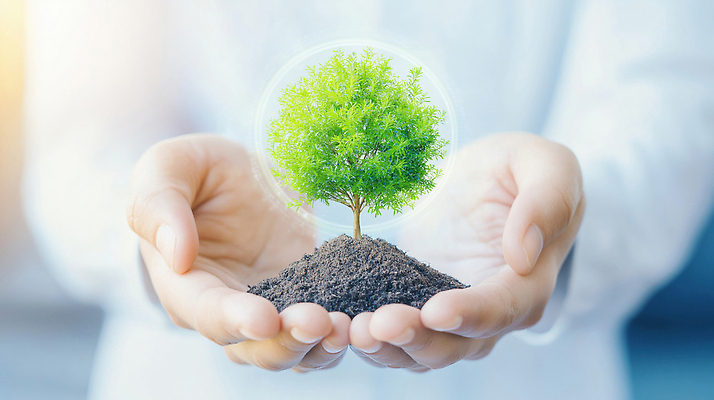 JPG 나무 식물 편집이미지 손 지구 자연 생명 건강 자연보호 환경 농사 흙 에너지 성장 보호 산소 의료성형뷰티 이미지편집 AI인물포토 AI콘텐츠 컨셉 농업 신체부위 원소 생태계 파일형식 AI포토