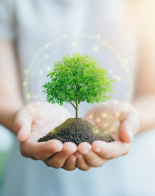 JPG 나무 식물 편집이미지 손 지구 백그라운드 자연 생명 빛 새싹 자연보호 환경 흙 성장 보호 생태계 의료성형뷰티 이미지편집 AI인물포토 AI콘텐츠 컨셉 신체부위 파일형식 AI포토