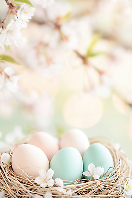 JPG 나무 편집이미지 계절 꽃 분홍색 컬러 자연 장식 파란색 계란 봄 벚꽃 분위기 둥지 부활절계란 보케 소재 조화 이미지편집 AI컴퓨터그래픽 AI콘텐츠 식물 컨셉 부활절 알 생태계 파일형식