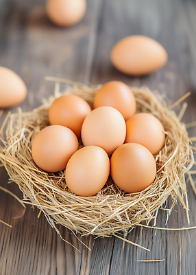 JPG 나무 동물 편집이미지 음식 빵 재료 자연 탁자 아침 부활절 농장 환경 계란 알 신선 둥지 편집실사 AI컴퓨터그래픽 AI콘텐츠 주간 식물 기념일 가구 농업 CG 생태계 파일형식