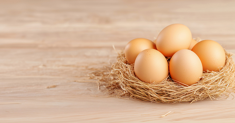 JPG 식물 동물 편집이미지 농업 자연 조류 생명 부활절 목재 농장 계란 알 육아 둥지 건초 생태계 편집실사 AI컴퓨터그래픽 AI콘텐츠 나무 기념일 산업 재료 CG 파일형식