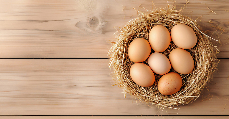 JPG 나무 편집이미지 음식 컬러 재료 자연 탁자 생명 부활절 일상 농장 계란 알 촬영 둥지 볏짚 편집실사 AI컴퓨터그래픽 AI콘텐츠 식물 기념일 가구 농업 라이프 짚 CG 생태계 파일형식