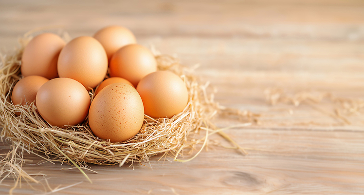 JPG 나무 동물 편집이미지 음식 식재료 가정 자연 부활절 바닥 요리 농장 계란 신선 둥지 제조 밀짚 편집실사 AI컴퓨터그래픽 AI콘텐츠 식물 기념일 농업 알 짚 CG 생태계 파일형식