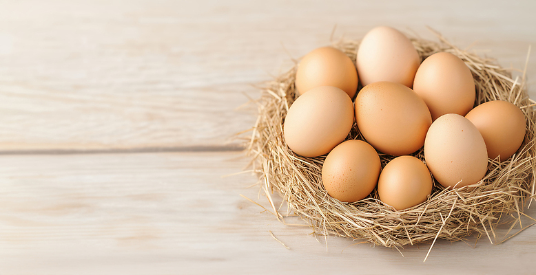 JPG 모양 동물 편집이미지 음식 컬러 재료 자연 생명 부활절 주택 요리 농장 계란 알 신선 둥지 크기 깃털 편집실사 AI컴퓨터그래픽 AI콘텐츠 기념일 농업 건물 CG 생태계 파일형식