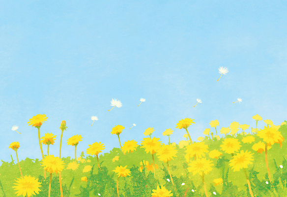 JPG 식물 구름 꽃 컬러 백그라운드 꽃밭 일러스트 자연 하늘 생명 바람 날씨 씨앗 풍경 초원 여름 노란색 봄 성장 민들레 언덕 풍경화 국내일러스트 AI일러스트 AI콘텐츠 자연요소 계절 그림 생태계 파일형식