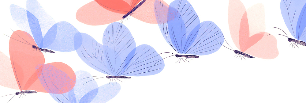 JPG 디자인 예술 컬러 나비 곤충 백그라운드 날개 일러스트 모션 자연 빨간색 파란색 자유 흰색 비행 그림 생태계 창의성 평면 국내일러스트 AI일러스트 AI콘텐츠 동물 컨셉 파일형식