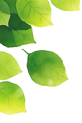 JPG 모양 식물 디자인 컬러 백그라운드 잎 일러스트 모션 자연 생명 수채화 그래픽 초록색 환경 흰색 원형 그림 채식 광택 단순화된 보테니컬아트 국내일러스트 AI일러스트 AI콘텐츠 도형 생태계 파일형식