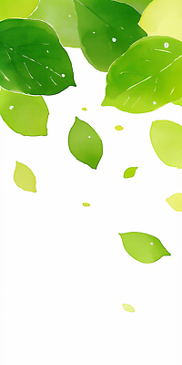 JPG 모양 식물 계절 백그라운드 잎 일러스트 자연 하늘 생명 수채화 공중 초록색 여름 환경 신선 떨어짐 숲 크기 천연 조화 보테니컬아트 국내일러스트 AI일러스트 AI콘텐츠 컬러 컨셉 생태계 파일형식