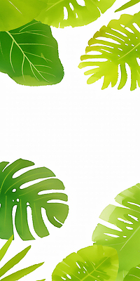 JPG 모양 식물 디자인 백그라운드 잎 패턴 일러스트 자연 열대 수채화 프레임 그래픽 장식 초록색 배열 오브젝트 그림 장면 보테니컬아트 트로피컬아트 국내일러스트 AI일러스트 AI콘텐츠 컬러 무늬 생태계 파일형식