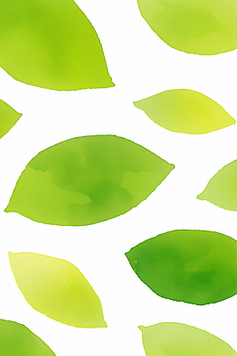 JPG 모양 식물 디자인 예술 컬러 백그라운드 잎 패턴 일러스트 자연 생명 수채화 장식 초록색 물감 흰색 표현 크기 그림 색채 창작 보테니컬아트 국내일러스트 AI일러스트 AI콘텐츠 무늬 미술도구 생태계 파일형식