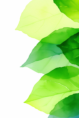 JPG 모양 식물 디자인 예술 컬러 백그라운드 잎 일러스트 자연 표시 생명 나뭇잎 수채화 그래픽 장식 초록색 연두색 여름 흰색 배열 보테니컬아트 국내일러스트 AI일러스트 AI콘텐츠 계절 생태계 파일형식