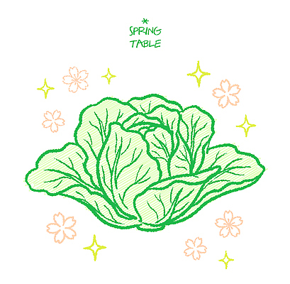 식물 디자인 꽃 음식 컬러 채소 일러스트 자연 탁자 한국 장식 농작물 귀여움 정원 식사 봄 신선 그림 양배추 손그림 봄나물 국내일러스트 AI파일 계절 아시아 가구 컨셉 농업 생태계 나물 파일형식 벡터