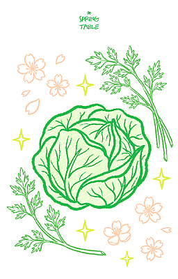 식물 디자인 꽃 음식 컬러 채소 일러스트 재료 자연 식탁 탁자 파슬리 건강 요리 농작물 봄 신선 상추 그림 손그림 봄나물 국내일러스트 AI파일 계절 가구 농업 생태계 나물 파일형식 벡터