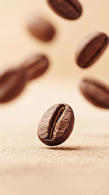 JPG 식물 편집이미지 커피 음료 백그라운드 자연 콩 공중 갈색 카페 원두 맛 준비 원료 원두커피 향 편집실사 AI컴퓨터그래픽 AI콘텐츠 컬러 컨셉 곡류 상점 CG 생태계 파일형식