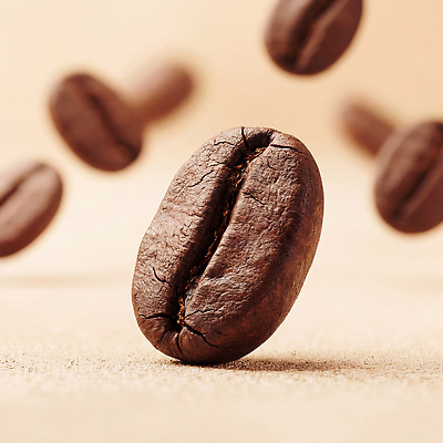 JPG 편집이미지 커피 음료 음식 백그라운드 아침 공중 갈색 에너지 원두 맛 향기 카페인 편집실사 AI컴퓨터그래픽 AI콘텐츠 주간 컬러 컨셉 CG 냄새 파일형식