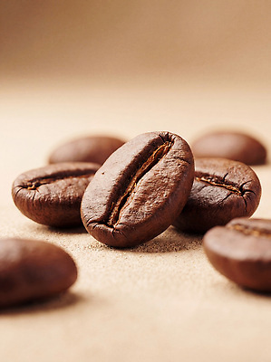 JPG 편집이미지 커피 음료 백그라운드 아침 바닥 농장 갈색 카페 원두 맛 준비 장면 향 편집실사 AI컴퓨터그래픽 AI콘텐츠 주간 컬러 컨셉 농업 상점 CG 파일형식