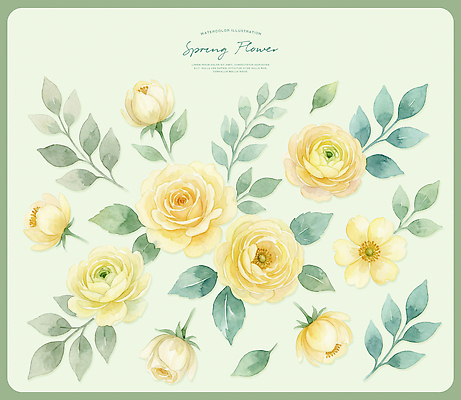 PSD 식물 디자인 꽃 예술 컬러 백그라운드 잎 일러스트 자연 수채화 노란색 봄 빈티지 꽃집 그림 화사함 조화 뷰티풀 색채 국내일러스트 계절 컨셉 상점 생태계 파일형식