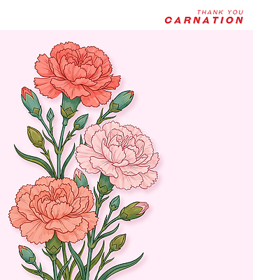 PSD 식물 디자인 꽃잎 꽃 줄기 분홍색 컬러 백그라운드 잎 일러스트 자연 그래픽 빨간색 여름 원근감 카네이션 화사함 조화 국내일러스트 계절 뷰포인트 컨셉 생태계 파일형식