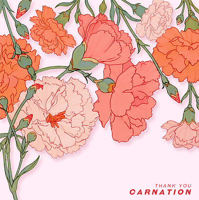 식물 계절 꽃 컬러 취미 야간 파일형식 카네이션 백그라운드 그림 디자인 예술 분홍색 주황색 원예 장식 풍경 꽃다발 싱그러움 저녁 봄 여름 일러스트 국내일러스트 PSD