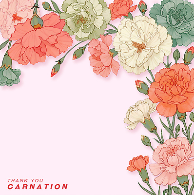 PSD 식물 디자인 꽃 예술 분홍색 컬러 백그라운드 패턴 일러스트 자연 그래픽 장식 카네이션 원예 감사 화사함 창작 테마 국내일러스트 감정 컨셉 무늬 취미 생태계 파일형식