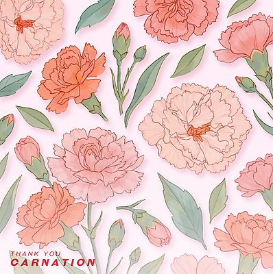 PSD 식물 디자인 꽃 예술 컬러 백그라운드 잎 일러스트 자연 종류 장식 여름 봄 크기 카네이션 그림 화사함 봉오리 뷰티풀 국내일러스트 계절 컨셉 생태계 파일형식