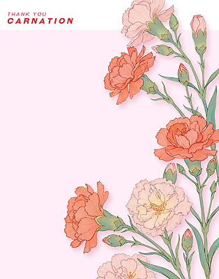 PSD 디자인 기념일 꽃 컬러 백그라운드 일러스트 수채화 선물 장식 인테리어 봄 축하 표현 메시지 인쇄 카네이션 그림 감사 뷰티풀 국내일러스트 식물 계절 감정 컨셉 이벤트 파일형식