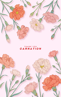식물 디자인 기념일 꽃 감정 컬러 컨셉 문화예술 이벤트 파일형식 카네이션 감사 메시지 백그라운드 분홍색 생일 사랑 축하 기쁨 고객 파티 장식 조화 미술 그림 인테리어 일러스트 국내일러스트 PSD