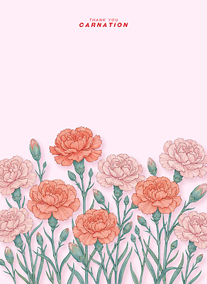 PSD 식물 디자인 꽃 줄기 분홍색 컬러 백그라운드 잎 일러스트 자연 선물 미술 그래픽 여름 정원 봄 축하 카네이션 감사 생화 국내일러스트 계절 감정 컨셉 문화예술 생태계 파일형식