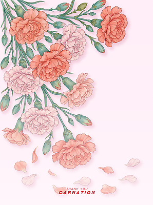 PSD 식물 디자인 꽃 예술 컬러 백그라운드 패턴 일러스트 자연 생명 장식 떨어짐 카네이션 그림 감사 손그림 화사함 조화 뷰티풀 국내일러스트 감정 컨셉 무늬 생태계 파일형식