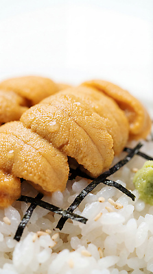 JPG 편집이미지 음식 밥 요리 식사 해조류 해산물 덮밥 성게알 일본음식 편집실사 AI포토 AI콘텐츠 알 해양식물 CG 파일형식