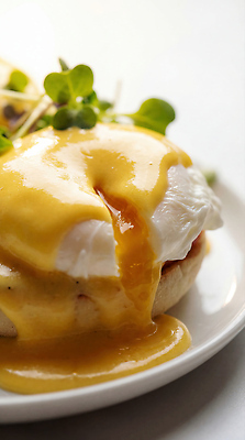 JPG 편집이미지 접시 음식 요리 계란 브런치 에그베네딕트 편집실사 AI포토 AI콘텐츠 식기 샌드위치 알 식사 CG 파일형식