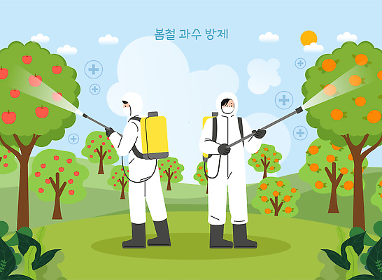 나무 농업 과일 일러스트 두명 환경 농사 봄 작업 사과 과일나무 농약 방제복 방제작업 작업자 국내일러스트 AI파일 식물 계절 산업 사람 파일형식 벡터