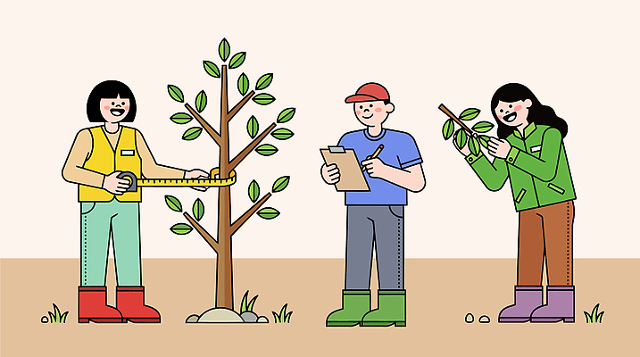 나무 식물 일러스트 모션 자연 협력 줄자 실험 사람 초록색 환경 정원 나뭇가지 관찰 기록 메모지 작업 식목일 측정 검사_조사 국내일러스트 AI파일 기념일 컬러 자 사무용품 생태계 파일형식 벡터