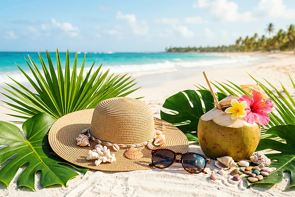 JPG 편집이미지 바다 잎 자연 하늘 조개 휴식 풍경 해변 여름 선글라스 야자수 코코넛 편집실사 AI포토 AI콘텐츠 나무 식물 계절 안경 컨셉 과일 어패류 CG 생태계 파일형식