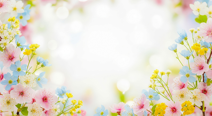 JPG 식물 편집이미지 꽃 백그라운드 봄꽃 자연 생명 풍경 장식 봄 꽃프레임 만개 뷰티풀 생동감 이미지편집 AI컴퓨터그래픽 AI콘텐츠 계절 프레임 생태계 파일형식