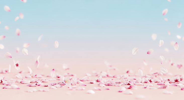 JPG 식물 편집이미지 계절 꽃잎 분홍색 하늘색 백그라운드 자연 바닥 선물 풍경 봄 벚꽃 떨어짐 장면 그라데이션 뷰티풀 흩어짐 이미지편집 AI컴퓨터그래픽 AI콘텐츠 꽃 컬러 컨셉 파란색 생태계 파일형식