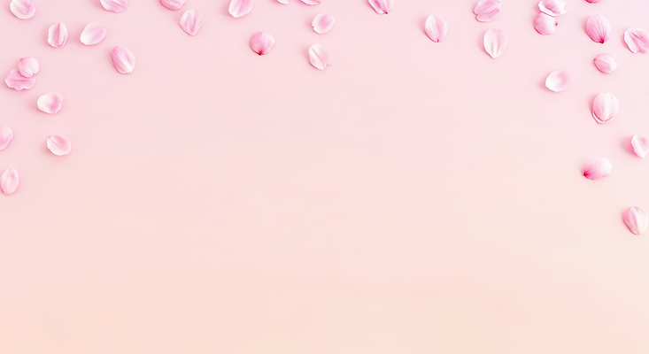 JPG 편집이미지 디자인 꽃잎 예술 분홍색 백그라운드 자연 장식 여름 정원 벚꽃 오브젝트 장면 부드러움 화사함 그라데이션 흩어짐 이미지편집 AI컴퓨터그래픽 AI콘텐츠 계절 꽃 컬러 컨셉 감각 생태계 파일형식