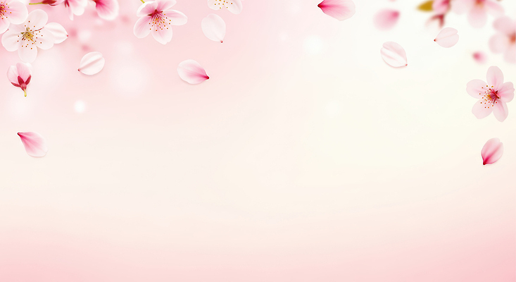 JPG 나무 식물 편집이미지 계절 꽃잎 꽃 백그라운드 자연 풍경 봄 벚꽃 떨어짐 그라데이션 이미지편집 AI컴퓨터그래픽 AI콘텐츠 컨셉 생태계 파일형식